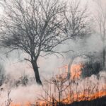 Protecting Yourself and Your Family from Wildfire Smoke