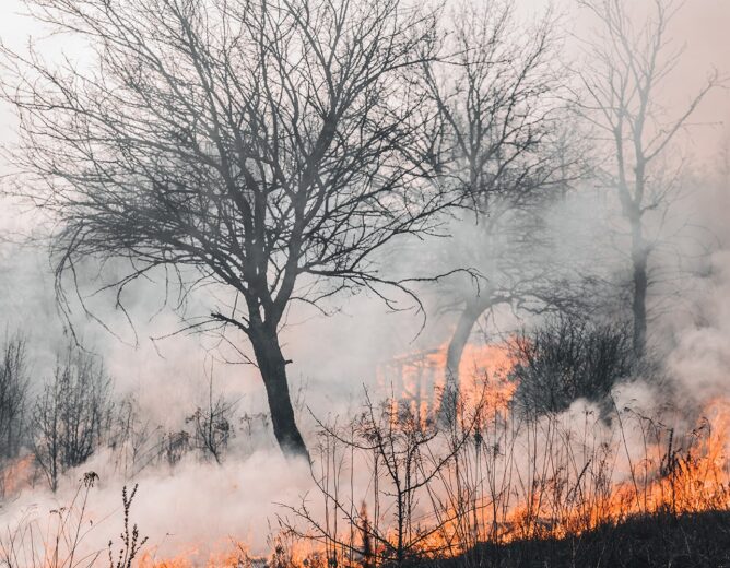 Protecting Yourself and Your Family from Wildfire Smoke